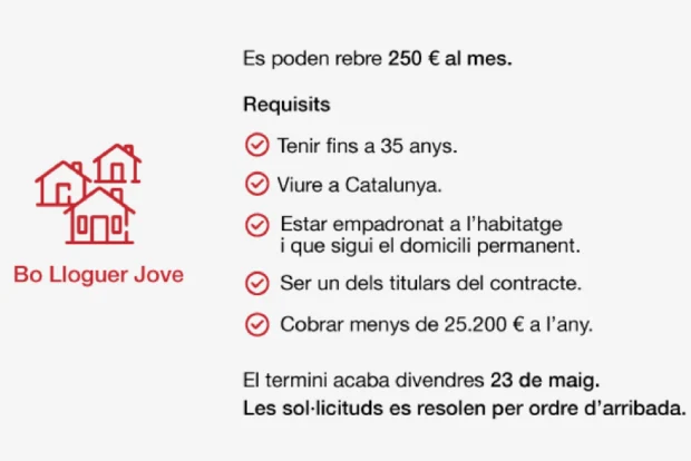 Ayuda del alquiler