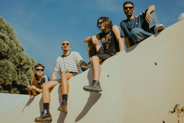 Vuelo despierto argentina