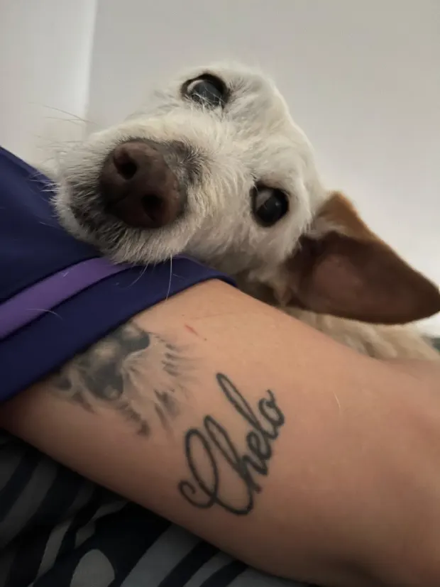 tatuaje chelo